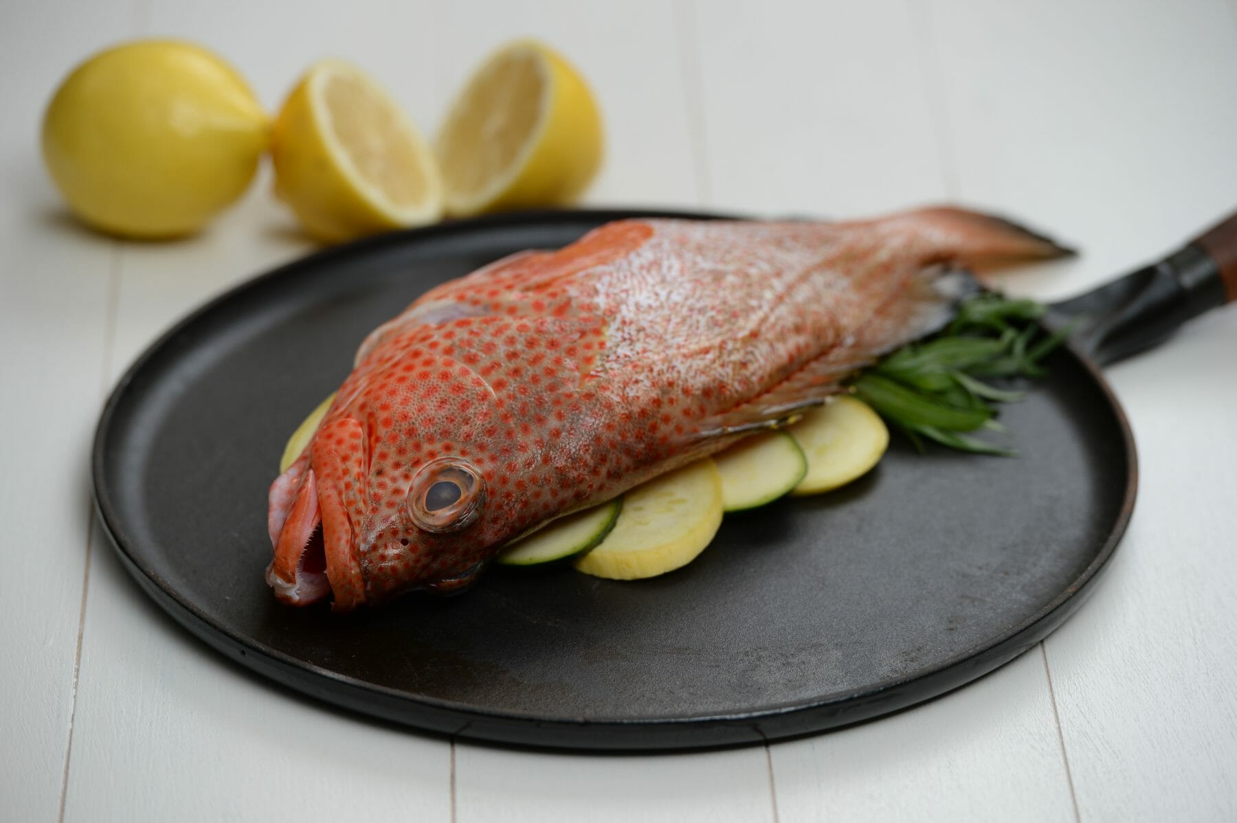 Roasted Tarragon Fish - Tanya's Kitchen